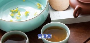 孕期喜欢闻茶叶的味道，孕期新喜好：为什么我喜欢闻茶叶的味道？