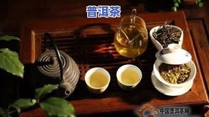 普洱茶记，探访云南普洱茶：味道、历史与文化的深度解析