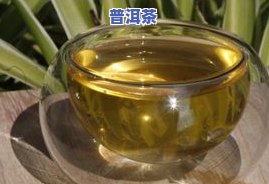 普洱茶都什么样子的好喝呢，探秘普洱茶：哪些品种口感更佳？