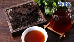 普洱茶虫，揭秘普洱茶虫：它们是什么，对茶叶有何影响？