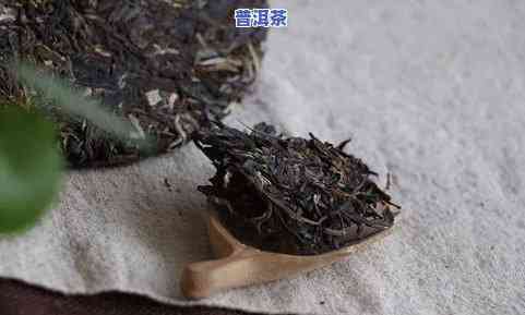 普洱茶虫，揭秘普洱茶虫：它们是什么，对茶叶有何影响？