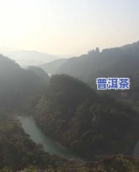 武夷山太伟风景店怎么样，探秘武夷山：太伟风景店深度解析