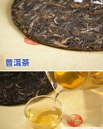 安源普洱茶-源普洱茶价格