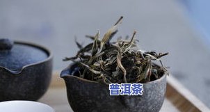 一叶珍味普洱茶价格表图片-一叶珍味普洱茶价格表图片大全