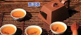 适合四季喝的茶叶，四季皆宜的茶，让你一年四季都好喝茶！