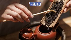 普洱茶里的果子用来干嘛了，探秘普洱茶中的神秘果子：它们的用途与功效