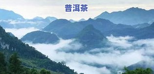 普洱西半山和东半山指哪里，揭秘普洱茶的产地：西半山与东半山的区别