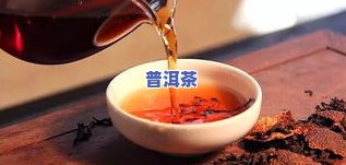 普洱购买藏生茶还是熟茶好-普洱购买藏生茶还是熟茶好呢