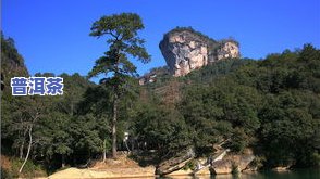 武夷山市幔亭峰茶叶-武夷山市幔亭峰茶叶场