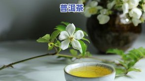 普洱茶多少钱一斤合适，寻找性价比高的普洱茶？看这篇就知道多少钱一斤合适！