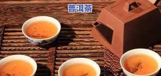 清逸普洱茶-清韵普洱茶