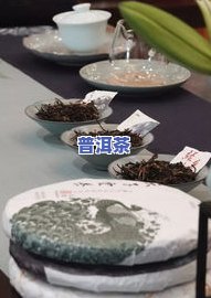 芸芸普洱茶-云茶普洱