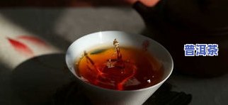 大益普洱茶普知味2012，品鉴大益普洱茶普知味2012：探寻茶叶的韵味与故事