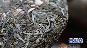 普洱茶嫩芽照片真实图大，探索大自然之美：真实普洱茶嫩芽照片大