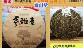 天赋茶厂，发掘天赋，品味茶香——天赋茶厂带你领略不一样的茶叶世界