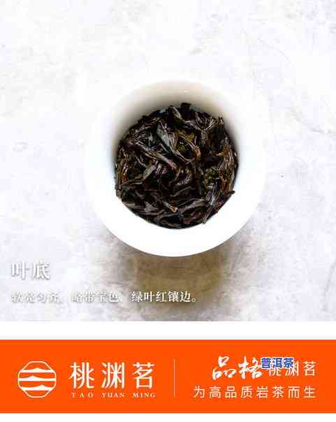 武夷山市桃渊茗茶叶经营部，品味武夷山：探索桃渊茗茶叶经营部的特色茶品