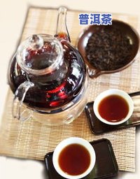 手撕普洱茶的正确泡法-手撕普洱茶的正确泡法视频