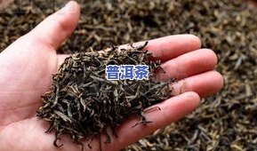 高端金骏眉茶叶价格表，探秘高端金骏眉茶叶的世界：价格表全解析