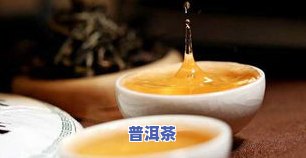 多少钱一斤的普洱茶喝起来不错，品味优质普洱茶：多少钱一斤才值得尝试？