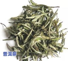 白牡丹属于哪种茶叶-白牡丹属于哪种茶叶类型