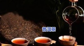 几万一斤的普洱茶，天价普洱茶：几万一斤，你敢尝试吗？