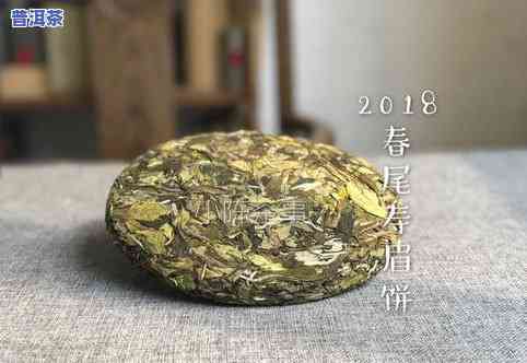 普洱茶饼如何泡，新手指南：如何正确冲泡普洱茶饼？