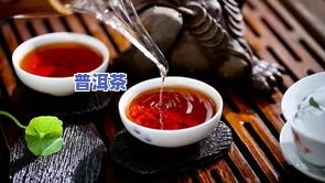 饼子普洱茶好吗怎么喝，探讨饼子普洱茶的口感与冲泡方法：如何享受这款好茶？