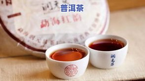 普洱饼子茶怎么喝，如何品饮普洱饼茶？一份详细的饮用指南