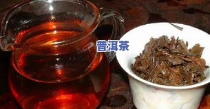 青桔普洱茶冷萃-青桔普洱饮料