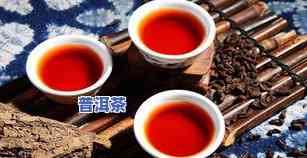 广东普洱茶场，广东普洱茶场：茶叶爱好者的天堂！