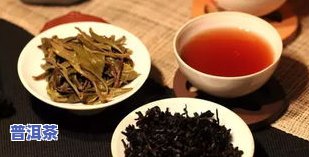 点都德普洱茶位-点都德 普洱茶