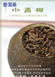 广东普洱茶产地和特点，探寻广东普洱茶的产地与独特特点