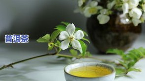 典藏普洱茶饼多少钱一斤啊，询问价格：典藏普洱茶饼每斤售价是多少？