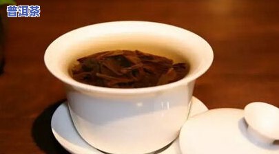 办公室喝普洱茶用什么杯子，选择适合办公室的普洱茶杯，提升品茗体验