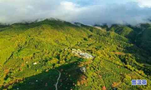 普洱茶核心产区，探寻普洱茶的核心产区：一场味蕾与文化的旅行