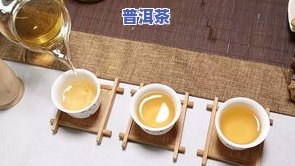 普洱茶和菠萝蜜的区别-普洱茶和菠萝蜜的区别是什么