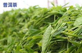 4个有名的茶叶有哪些，探寻名茶：四种广为人知的茶叶品种介绍