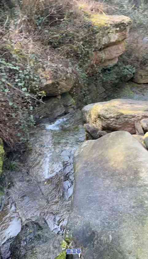 高山流水觅知音茶叶-高山流水觅知音茶叶多少钱一斤