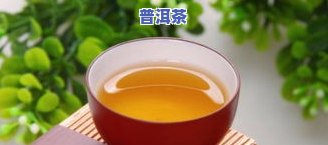 普洱茶跟蜂蜜能一起泡吗，普洱茶与蜂蜜能否共同冲泡？