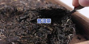 涉密普洱茶-普洱茶