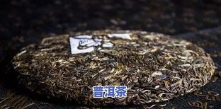 茶树王普洱茶价格，探寻茶树王普洱茶的价格，一探究竟！