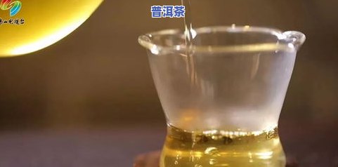 普洱茶丰采-风采普洱茶