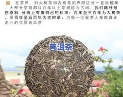 普洱茶丰采-风采普洱茶