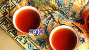 茶树王普洱茶百年经典-茶树王普洱茶百年经典价格2009