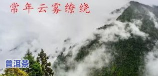 高黎贡山的茶怎样，探秘高黎贡山：揭秘其茶叶的独特魅力与种植技艺