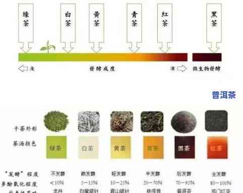 勐海卓群茶厂：云南优质茶叶的价格与介绍