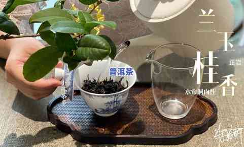 泡出来是芽状的茶叶能喝吗，探讨：泡出来的芽状茶叶是否可以饮用？