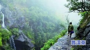 千家寨普洱茶哪里更好-千家寨普洱茶哪里更好喝