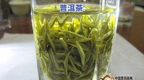 茶叶中芽，探秘茶叶中的芽：一种独特的味道和营养来源