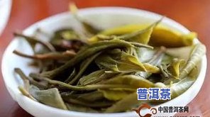 普洱茶里的头汤是什么-普洱茶里的头汤是什么做的